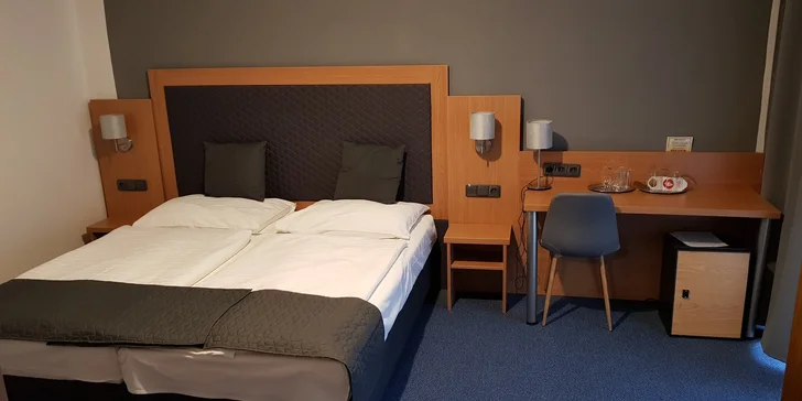 Za příplatek s vámi může jet i váš čtyřnohý mazlíček.