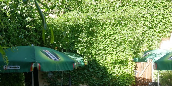 Indie na talíři: tradiční dobroty pro vegetariány i masožravce