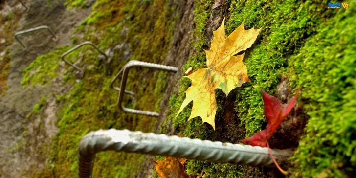 Via ferrata kurz v Horolezecké aréně v centru Liberce