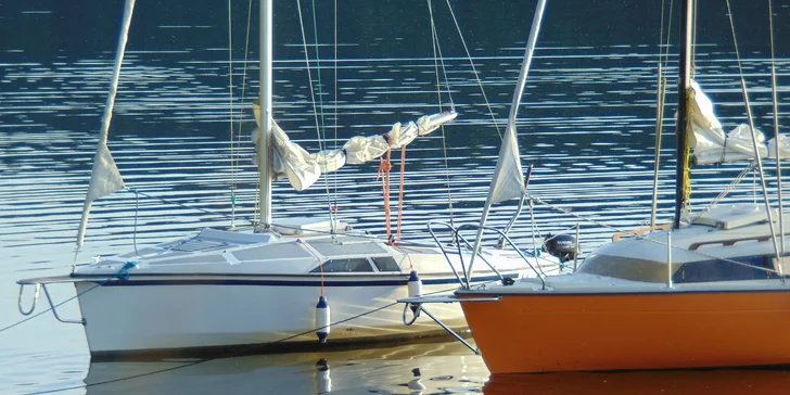 Štír a RA Cruiser