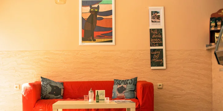 Čas na letní vrnění: Zmrzlinové poháry a domácí limonády v kočičí kavárně