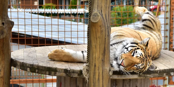 Do Jeseníků ve dvou nebo s rodinou: Polopenze i vstup do zooparku