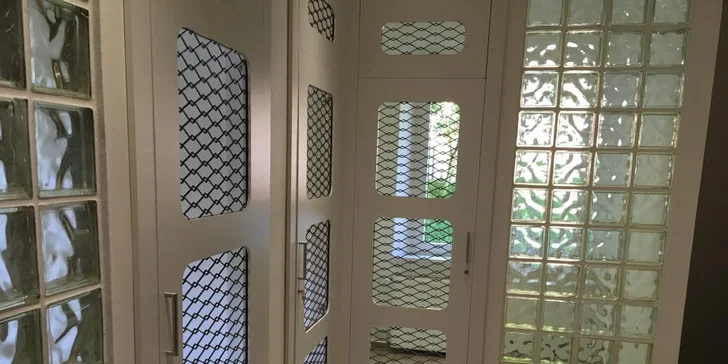 I vaše micka si zaslouží dovolenou - den ve VIP kočičím hotelu včetně krmení