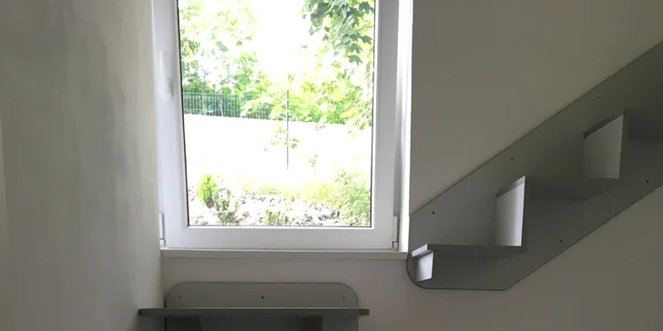 I vaše micka si zaslouží dovolenou - den ve VIP kočičím hotelu včetně krmení