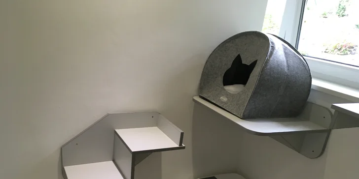 I vaše micka si zaslouží dovolenou - den ve VIP kočičím hotelu včetně krmení