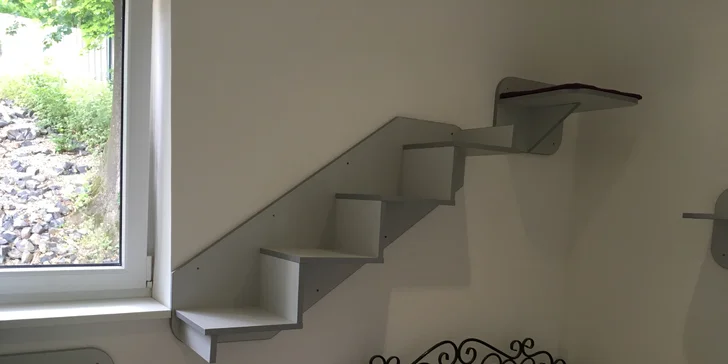 I vaše micka si zaslouží dovolenou - den ve VIP kočičím hotelu včetně krmení
