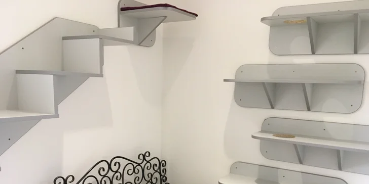 I vaše micka si zaslouží dovolenou - den ve VIP kočičím hotelu včetně krmení