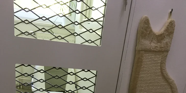 I vaše micka si zaslouží dovolenou - den ve VIP kočičím hotelu včetně krmení