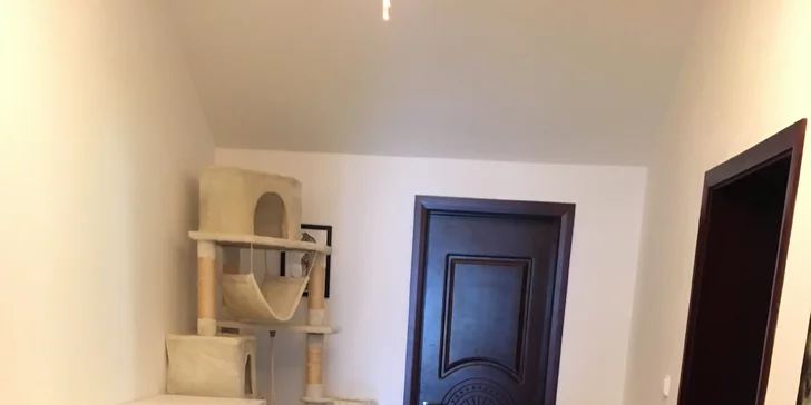 I vaše micka si zaslouží dovolenou - den ve VIP kočičím hotelu včetně krmení