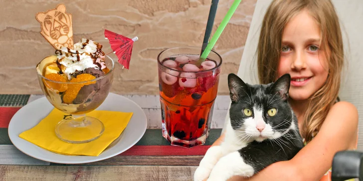 Čas na letní vrnění: Zmrzlinové poháry a domácí limonády v kočičí kavárně