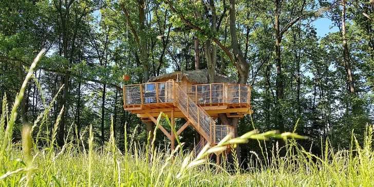 Podzimní romantika v Tree House pro dva i zážitek pro 4člennou rodinu