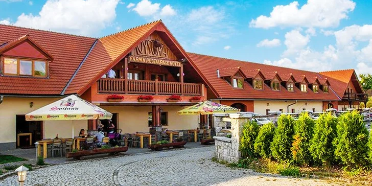 Zážitkový program u koní: práce ve stáji, příprava koně, jízda i piknikový koš