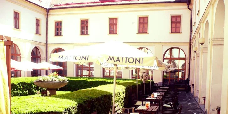 Domácí limonáda i dezert v centru Brna s mazlivou kočičí společností