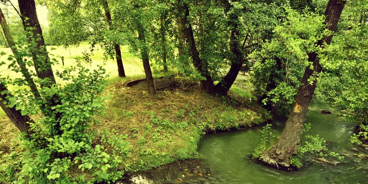 Celé marinované kuře s oblohou a košíkem pečiva pro 2 osoby