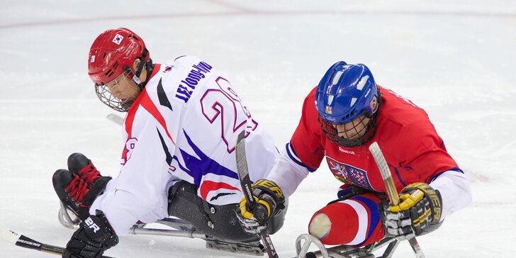 Dostaňte handicapované hokejisty na paralympiádu: Přispějte na častější tréninky
