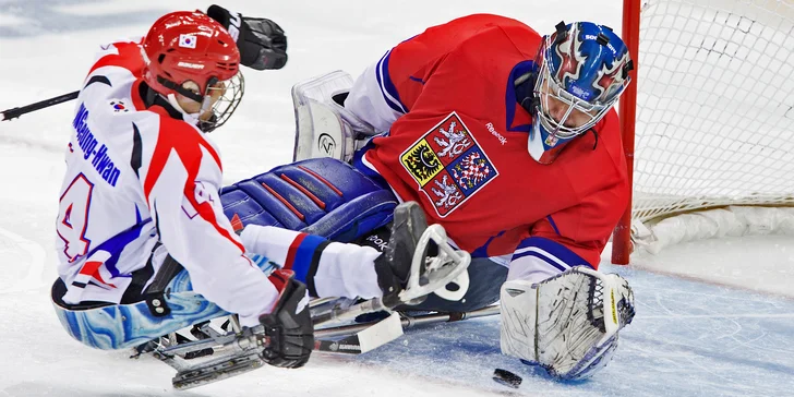 Dostaňte handicapované hokejisty na paralympiádu: Přispějte na častější tréninky