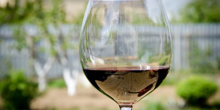 Degustace prémiových vín z Francie a Chile včetně občerstvení