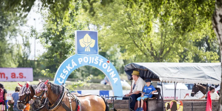 1x vstupné na IV. kvalifikaci na 127. Velkou pardubickou