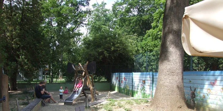 Pronájem tenisového kurtu v Lužánkách až pro 4 osoby: 2x nebo 5x 60 minut
