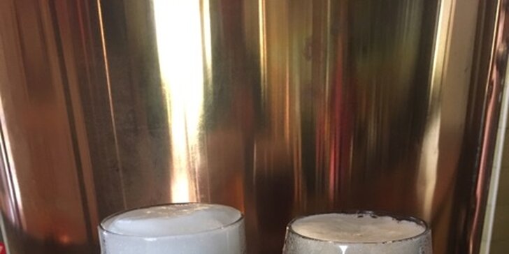 2x půllitr piva: polotmavý Řepiš 12° nebo světlý ležák Harcíř 12°