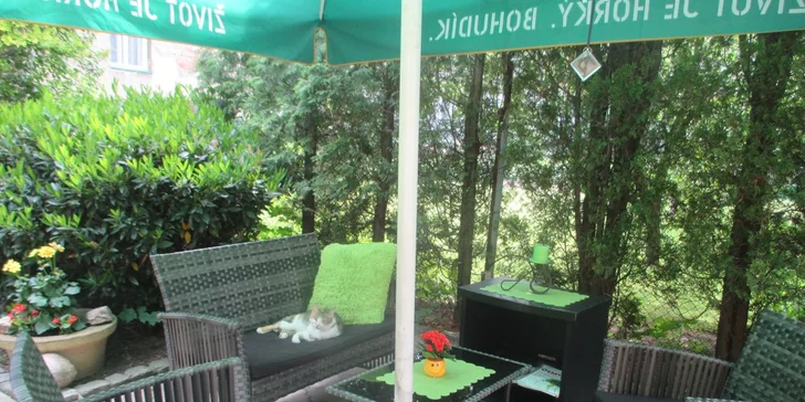 Jezte zdravě & hravě: vegetariánské obědové menu pro jednoho nebo dva