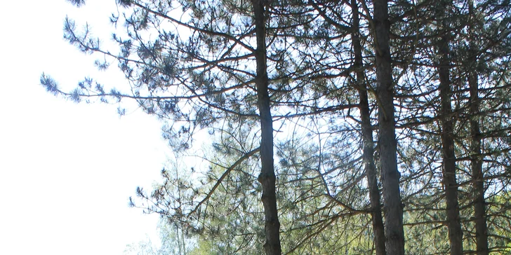 Hodina a půl adventure golfu v Beskydech pro celou rodinu či partu přátel