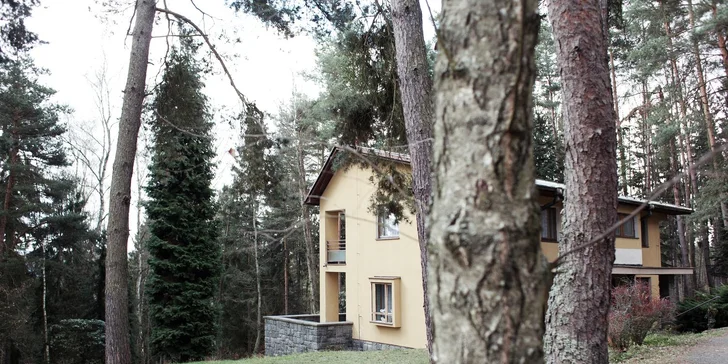 Pronájem vily na Orlíku ve vile pro 8-10 osob: wellness, bazén i fitness
