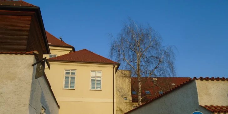 Začátek i konec prohlídky je u kašny na náměstí Přemysla Otakara II.