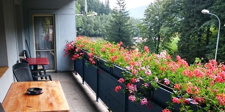 Zima nebo jaro v Peci pod Sněžkou: ubytování se snídaní blízko skiareálu
