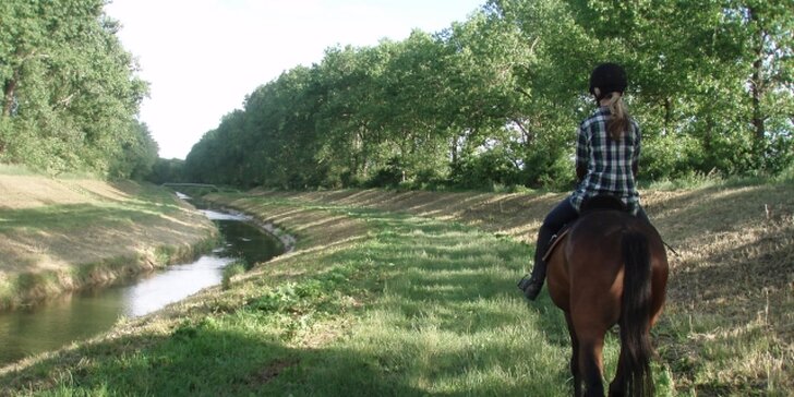 Farmářské léto na jižní Moravě: 3 pohodové dny s polopenzí a projížďkou na koni