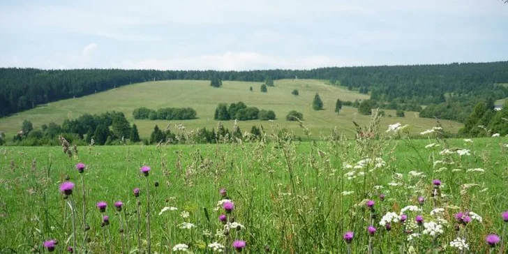 Podzim na Šumavě: chata s infrasaunou pro 15 osob nebo apartmán pro 3 osoby