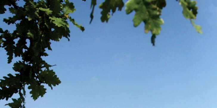Jarní zábava s osmnácti jamkami: minigolfové hřiště v Modřanech pro malé i velké