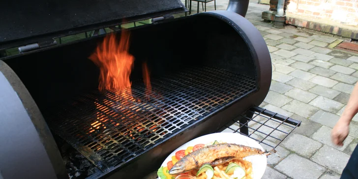 Bašta jak pro chlopa: Havířská makrela z grilu, 400 g hranolek a omáčka i zelenina
