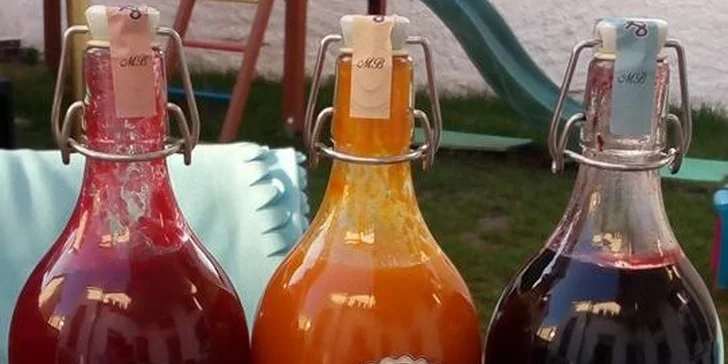 Dodržujte pitný režim: Osvěžující domácí limonáda dle výběru pro jednoho či dva