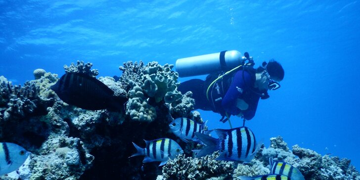 Potápění do 20 metrů či kompletní potápečský kurz OWD / Samostatný potápěč
