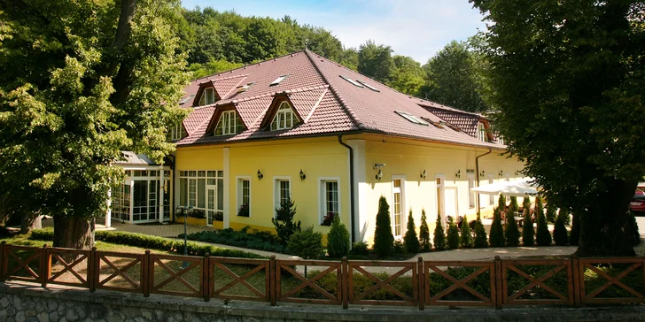 Relaxační pobyt v Trenčianských Teplicích: Neomezený wellness a polopenze pro 2