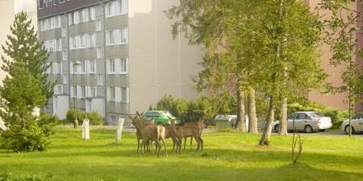 Rodinná dovolená ve Vysokých Tatrách: pronájem apartmánu pro 4 osoby