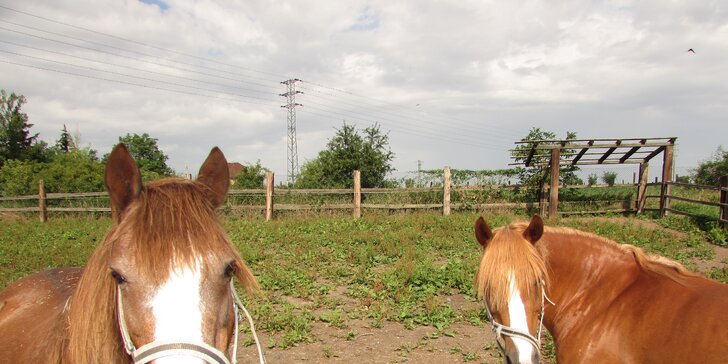 Den s koňmi na Šťastném ranči u Prahy: jednodenní příměstský tábor s programem