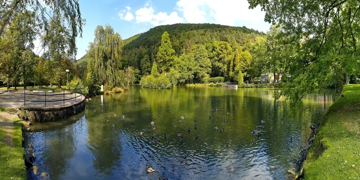 Relaxační pobyt v Trenčianských Teplicích: Neomezený wellness a polopenze pro 2