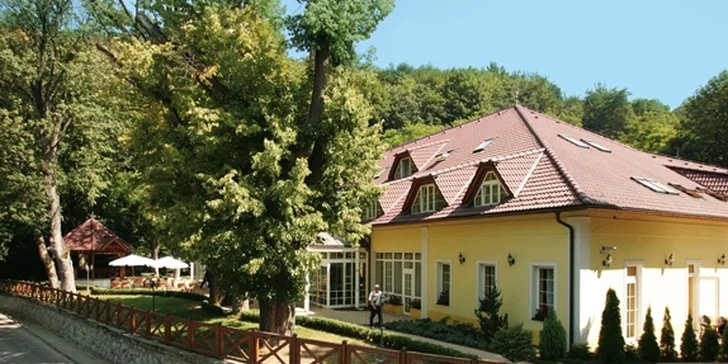 Relaxační pobyt v Trenčianských Teplicích: Neomezený wellness a polopenze pro 2