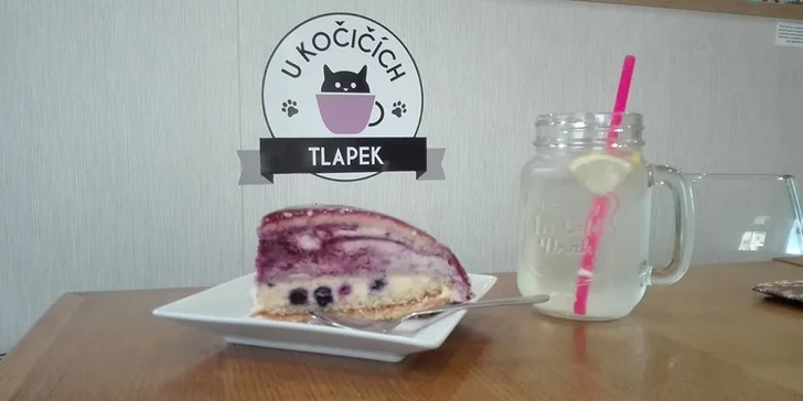 První kočičí kavárna v Kladně: nápoj, domácí dortík a chlupatá společnost