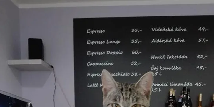 Domácí palačinky a pečený čaj nebo limonáda pro 1 i 2 osoby v kočičí kavárně