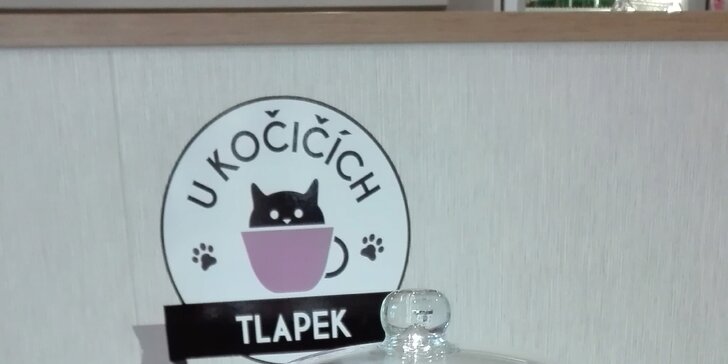 První kočičí kavárna v Kladně: nápoj, domácí dortík a chlupatá společnost
