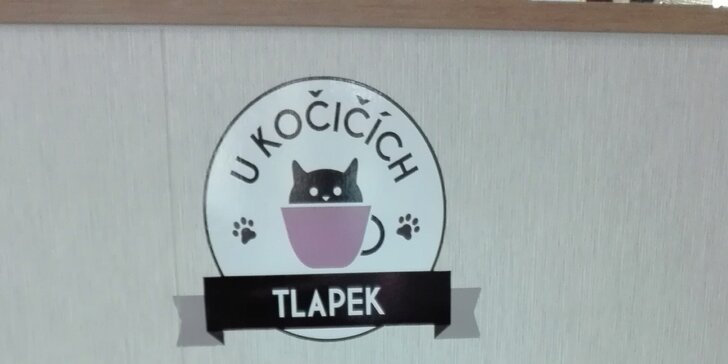 První kočičí kavárna v Kladně: nápoj, domácí dortík a chlupatá společnost