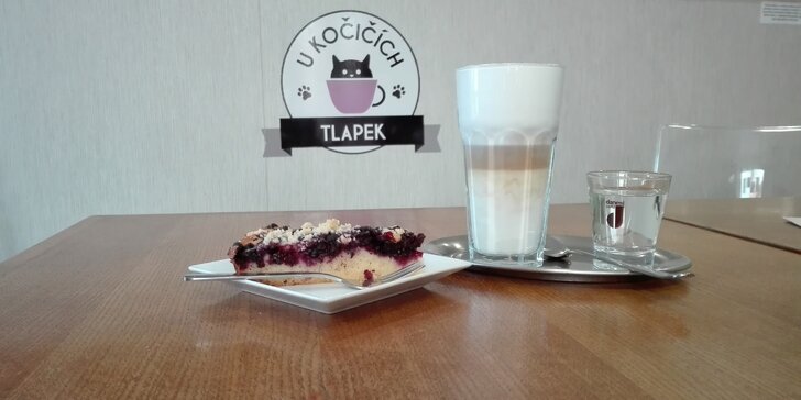 První kočičí kavárna v Kladně: káva, domácí dortík a chlupatá společnost