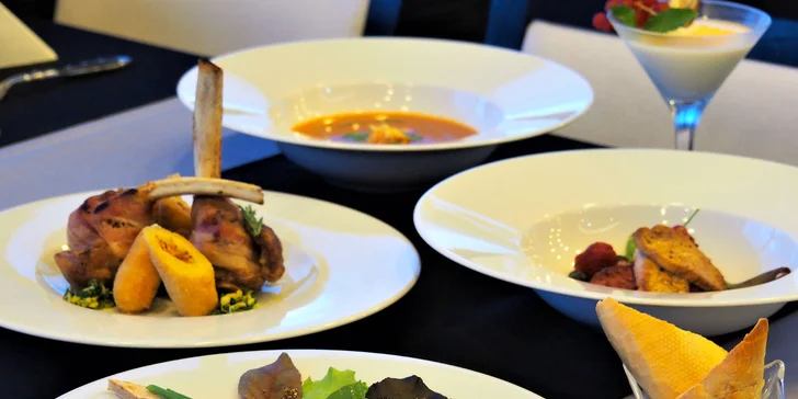 Degustační menu s jedinečným výhledem na celé Brno z 15. patra M-Paláce