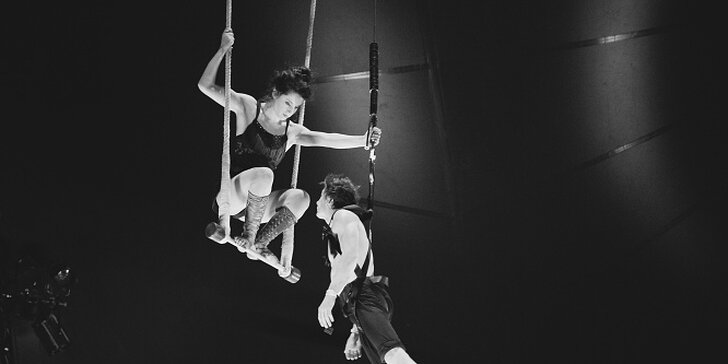 Hvězdy nového cirkusu - pohádkové představení „Šťastně až navěky“