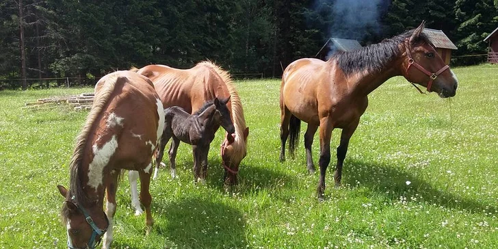 3 dny v Jeseníkách s polopenzí: turistika, koloběžky i víceúčelové hřiště