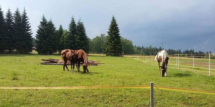 3 dny v Jeseníkách s polopenzí: turistika, koloběžky i víceúčelové hřiště
