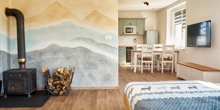 Každý apartmán má vybavenou kuchyňku. 